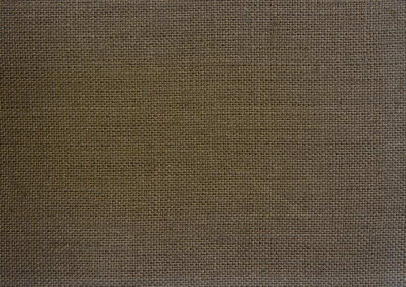 LINEN SOLIDS fabric in Solid Palm Beach Sage - Catania Silks